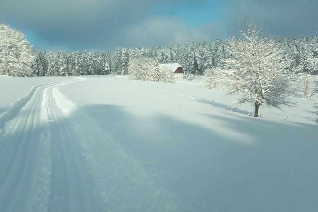 Ferienwohnung Im Schwarzwald Unterkirnach Bagian luar foto